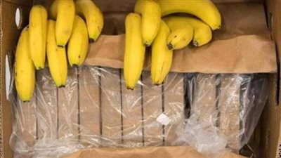 حقيقة استيراد مصر شحنات فاسدة من فاكهة الموز