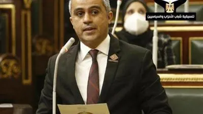 برلماني: مصر لها دور محوري في قضايا تغير المناخ