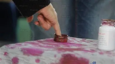 إقبال ملحوظ على لجان الدقي الانتخابية في أخر أيام سباق الرئاسة (صور)