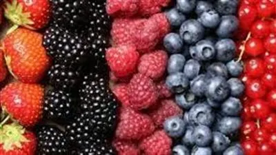 استشاري تغذية: التوت البري يكسر الدهون المتراكمة منذ سنوات