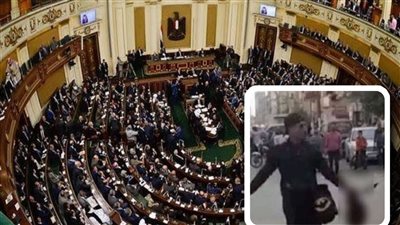 بعد واقعة الإسماعيلية.. تحرك برلماني عاجل لتغليظ عقوبة حامل السلاح الأبيض