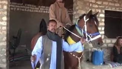 نسور الداخلية تصطاد رأس الأفعى في جنوب مصر.. قصة خُط أسوان (فيديو وصور)