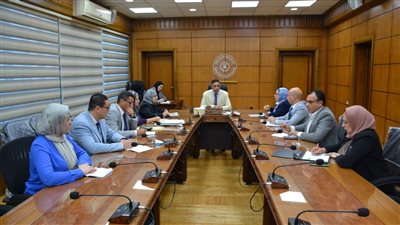 للحد من الهجرة غير الشرعية.. تفاصيل اجتماع محافظ الدقهلية بوفد 