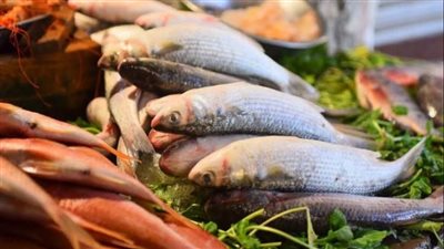 أسعار الأسماك اليوم الاثنين 8-11-2021 في سوق العبور