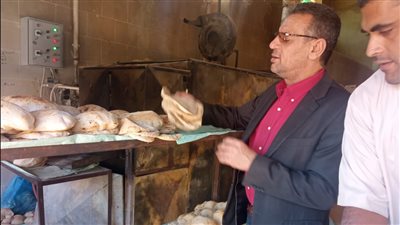 إحالة 161 محضرا بالمخالفات التمونية للنيابة العامة في الدقهلية