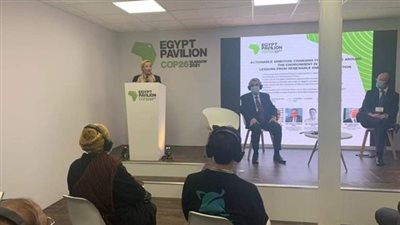 كيف نجحت الدولة في التحول إلى الطاقة المتجددة؟