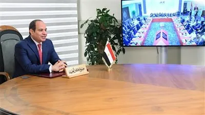 خالد عكاشة: كلمة الرئيس السيسي تاريخية وبها تحذير واضح 