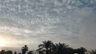 طوارئ في محافظة الأقصر تخوفًا من التغيرات المناخية 