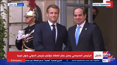 تفاصيل لقاء الرئيس السيسي بنظيره الفرنسي قبل مؤتمر باريس الدولي (فيديو)