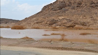 رئيس سفاجا عن السيول: 