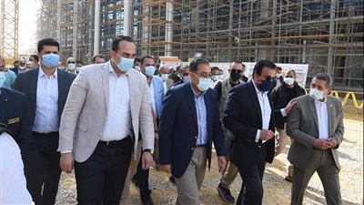 الصحة: عدم حدوث أي وفيات ناتجة عن لدغ العقارب بأسوان