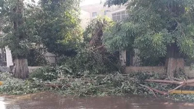 محافظ أسوان يعلن عودة الحركة على الطرق السريعة والملاحة النيلية 