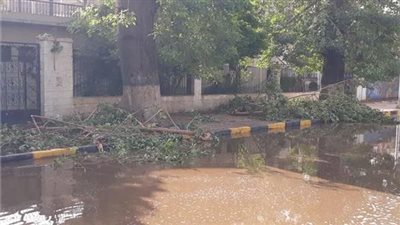 محافظ أسوان يكشف تفاصيل إنقاذ وزارة الري لقرى المحافظة من الاختفاء