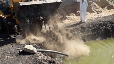 إزالة 238 حالة تعد في الموجة الـ 18 بالدقهلية 