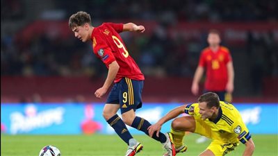 رئيس الاتحاد الإسباني يشيد بمدرب منتخب إسبانيا