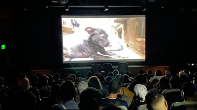 عروض نادي سينما الشباب بالهناجر للمركز القومي للسينما