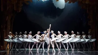 الأوبرا تستضيف بجعات سان بطرسبرج 4 ليال بالقاهرة والاسكندرية