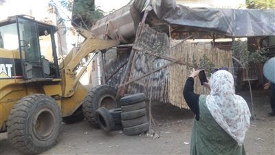 تفاصيل حملات المرحلة الثالثة من الموجة الـ 18 لإزالة التعديات في الدقهلية 