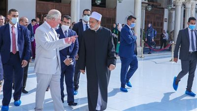 الإمام الأكبر والأمير تشارلز يناقشان أزمة تغير المناخ والحلول الممكنة لمواجهتها