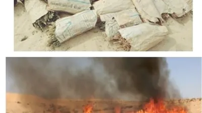 ضبط 28 قضية مخدرات في حملة أمنية مكبرة بالإسماعيلية