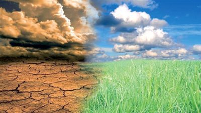 الزراعة: التقلبات المناخية في مصر لا تزال تحت المتوسط بحكم الموقع الجغرافي (فيديو)