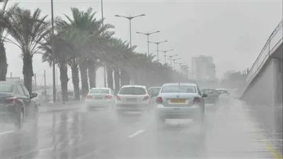 الأرصاد تعلن موعد ذروة حالة عدم الاستقرار على البلاد (فيديو)