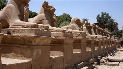 مشرف طريق الكباش: الأقصر ستتحول لواحدة من أهم المتاحف المفتوحة في العالم