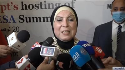 وزيرة الصناعة: مصر أعدت خطط طموحة لزيادة أوجه التعاون مع دول الكوميسا (فيديو)