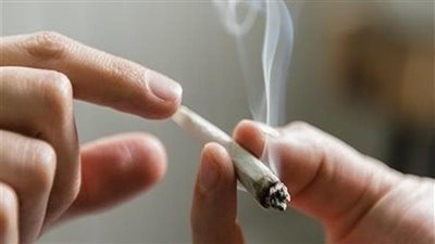 هل الحشيش إدمان؟ رد رسمي يحسم الجدل (فيديو)