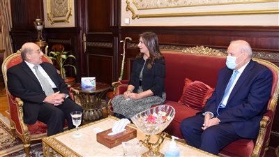 نبيلة مكرم تشارك في اجتماع لجنة العلاقات الخارجية بمجلس الشيوخ (صور)