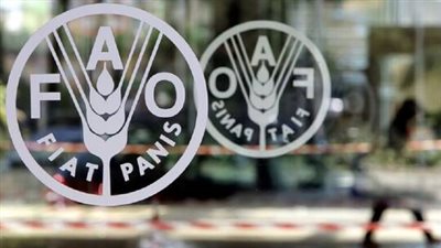 الفاو: مصر مدرسة في التعامل مع الأزمات الاقتصادية العالمية