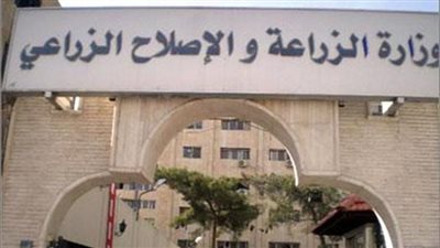 أول رد من الحكومة على انتشار أدوية بيطرية مغشوشة في الأسواق