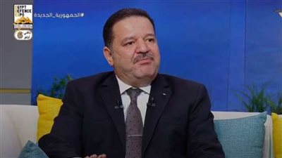 المجلس الاقتصادي الإفريقي: مصر لها دور في تفعيل التجارة الحرة بدول الكوميسا