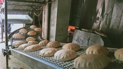 تفاصيل تحرير 47 محضرا تموينيا في حملات بالدقهلية