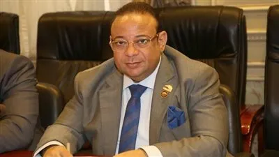 برلماني: احتفالية طريق الكباش تليق بعظمة مصر