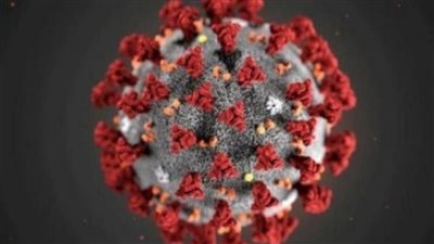 برلماني يطالب الحكومة بإعلان الطوارئ الصحية لهذا السبب