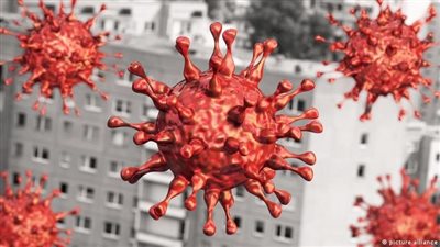 حقيقة تصريحات عالم الفيروسات البلجيكي بشأن إصابة المواطنة في مصر (فيديو)