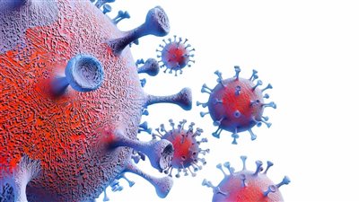 سفيرنا بجنوب إفريقيا: إصابات متحور كورنا الجديد لم تصل إلى رقم مقلق