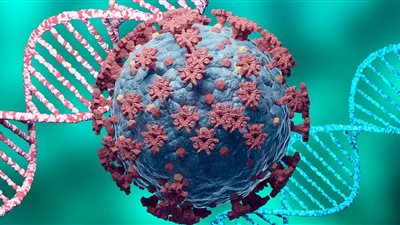 الطبيبة المكتشفة لمتحور كورونا الجديد توجه نصيحة للمواطنين