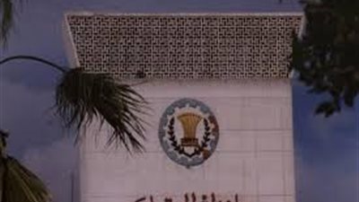 رقم طوارئ شركة الكهرباء بعد انقطاع التيار الكهربي في محافظة الدقهلية