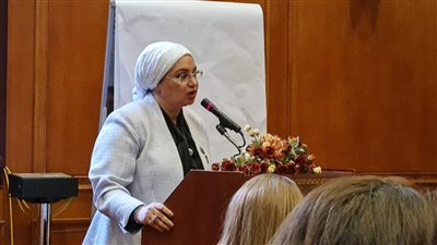 برلمانية: موافقة مبدئية من لجنة الإعلام على قانون حماية اللغة العربية