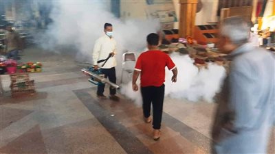 حملات مكثفة لرش المبيدات لمواجهة الحشرات الطائرة بأسوان (صور)