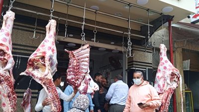 غلق 32 محلا مخالفا و7 مقاهي خلال حملة مكبرة بالإسكندرية (صور)