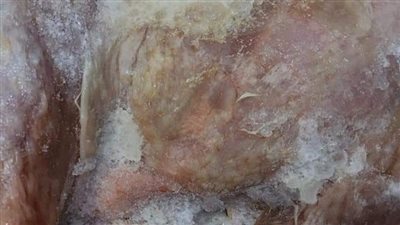 ضبط لحوم وجبن فاسدة في محل شهير بالمنصورة (صور)