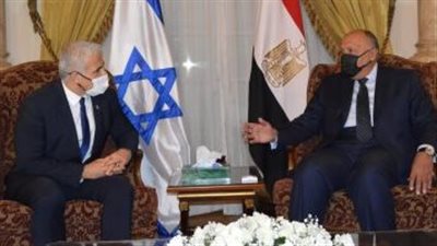 سامح شكرى لوزير الخارجية الإسرائيلى: 