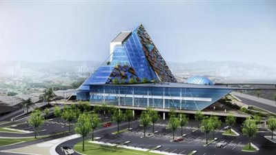 أمانة الطائف تعزز وسائل الوقاية ورصد بؤر الحشرات تزامنًا مع فصل الشتاء