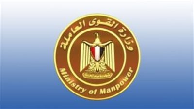 تعيين 2102 شاب واستخراج 2050 رخصة مزاولة مهنة بالبحيرة