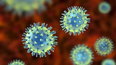 لجنة مكافحة كورونا تزف بشرى سارة للمواطنين