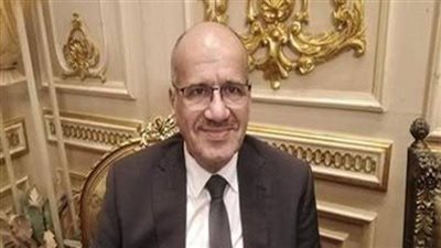 برلماني: وزارة الداخلية في أفضل حالاتها وتحافظ على الأمن 100%