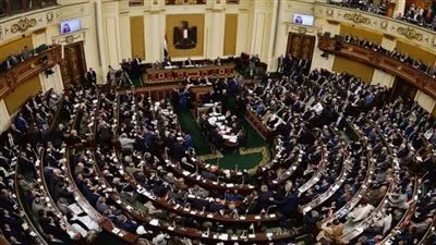 أبرزها فيزيتا.. أول تحرك برلماني بشأن انتشار التطبيقات الإلكترونية لبيع الأدوية